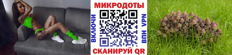как найти   Семёнов  Галлюциногенные грибы Cubensis 